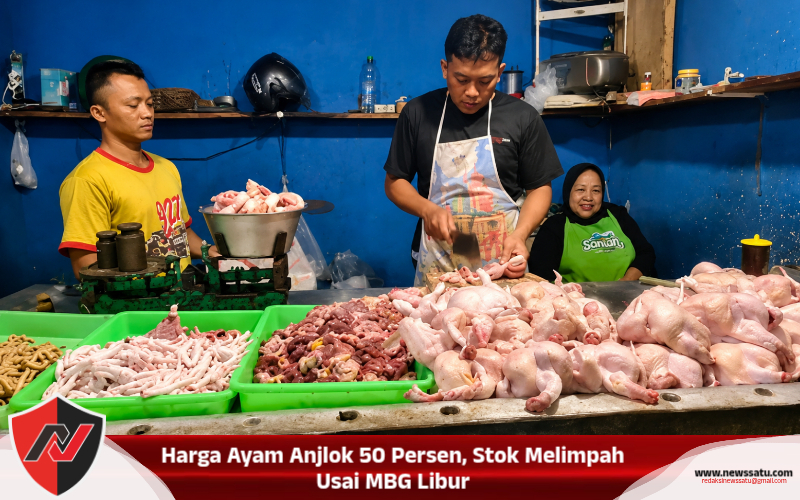Harga Ayam Anjlok 50 Persen, Stok Melimpah Usai MBG Libur