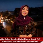 Jatim Gelap Bergilir, Lia Istifhama Desak PLN Transparan Soal Penyebab Pemadaman