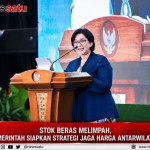 Stok Beras Melimpah, Pemerintah Siapkan Strategi Jaga Harga Antarwilayah